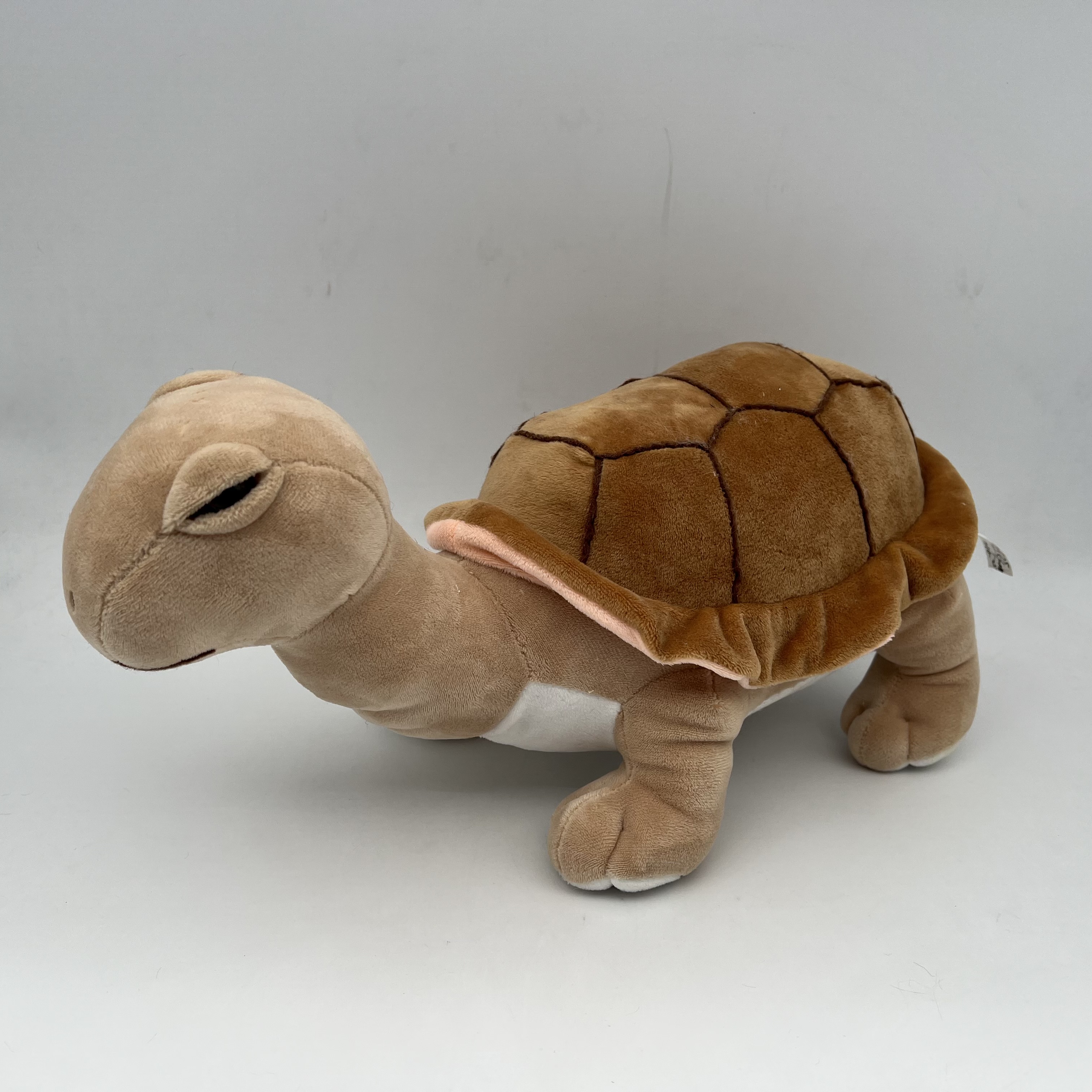 Turtle-3