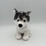 Dog-4