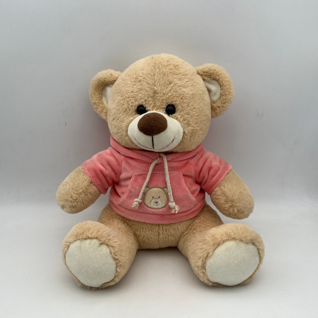 Bear with Hoody