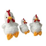 Chicken-2
