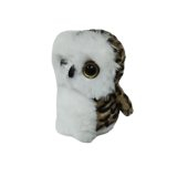 Owl-1
