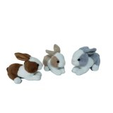 Rabbit -10