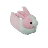 Rabbit Slipper-2