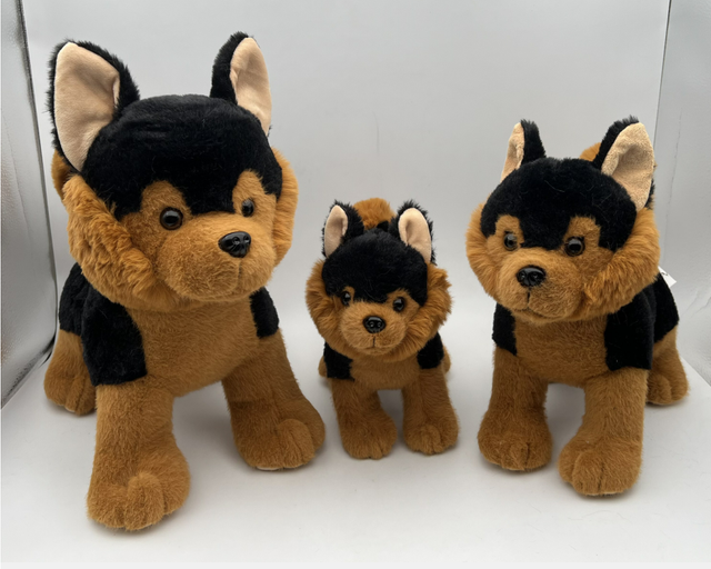 Dog-16