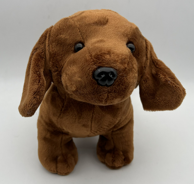 Dog-11