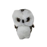 Owl-1